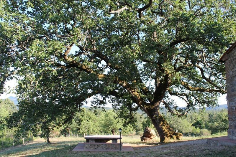 Agriturismo La Quercia Boccheggiano Екстериор снимка