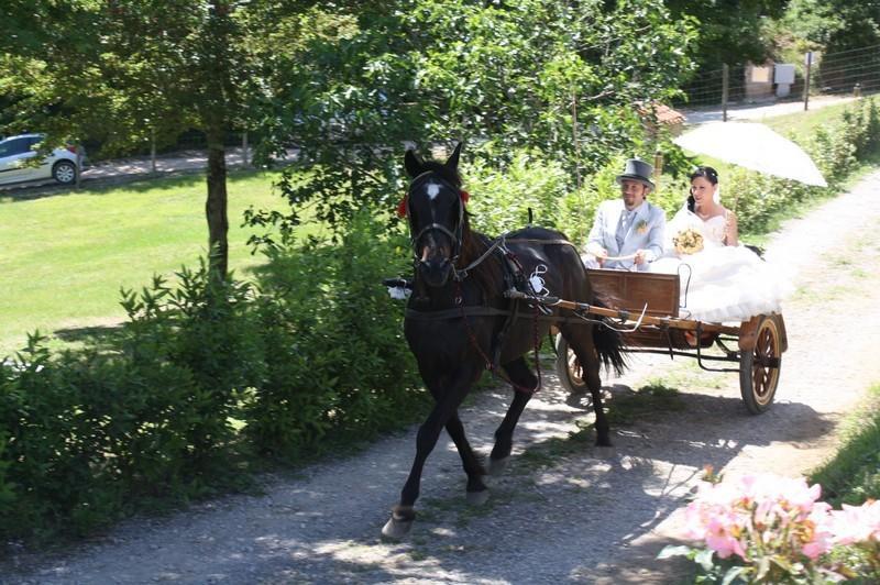 Agriturismo La Quercia Boccheggiano Екстериор снимка