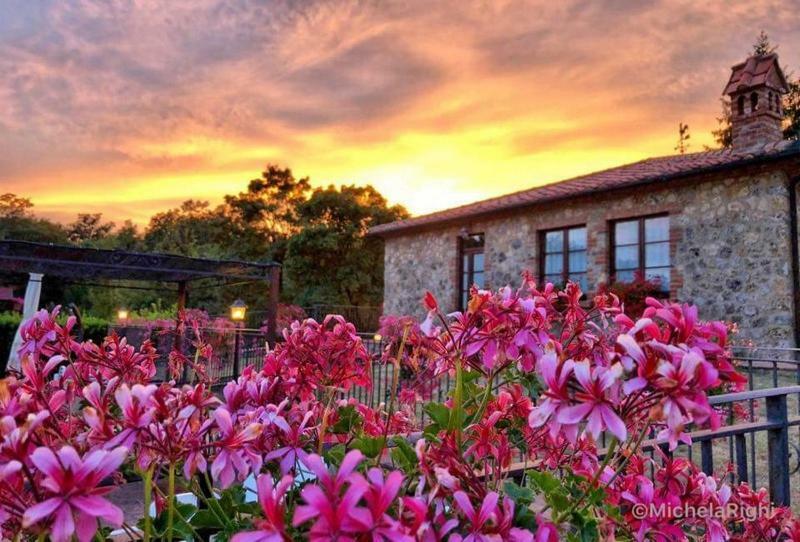 Agriturismo La Quercia Boccheggiano Екстериор снимка